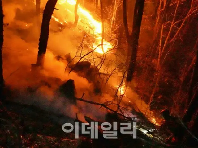 2日間続いた山火事で山林163ha焼失＝韓国（画像提供:wowkorea）