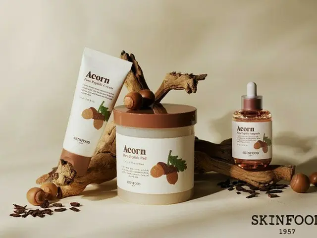 ＜韓国コスメ＞SKINFOOD、どんぐり抽出物含有のどんぐりライン3種を発売（画像提供:wowkorea）