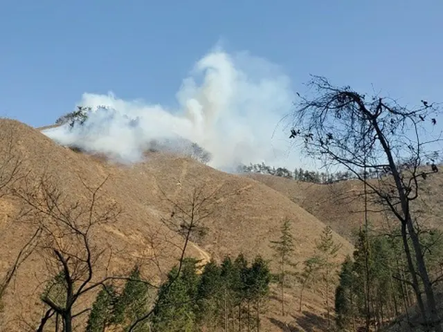 乾燥した天気の中…忠清南道の各地で山火事が相次いで発生＝韓国（画像提供:wowkorea）