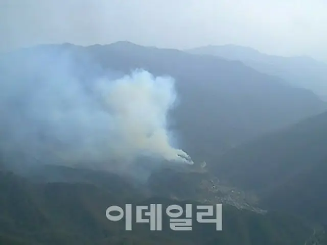 乾燥注意報 江原道・慶尚北道で山火事が相次ぎ発生 = 韓国（画像提供:wowkorea）