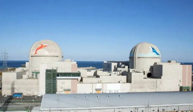 韓国水力原子力など原子力発電所公企業、購買・契約管理を強化へ（画像提供:wowkorea）
