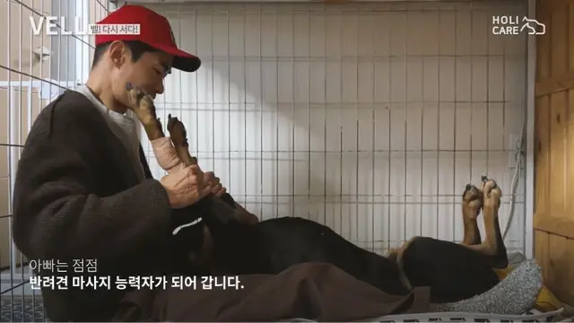 俳優ペ・ジョンナム、愛犬ベルとのリハビリ奮闘記を公開（画像提供:wowkorea）