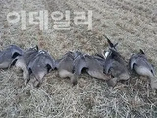 野鳥集団死亡5件のうち3件が農薬中毒＝韓国