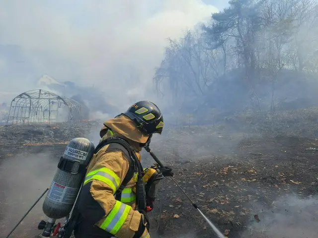 春川古呑里で山火事...「近隣住宅で落ち葉を焼却中に燃え広がったものと推定」＝韓国（画像提供:wowkorea）