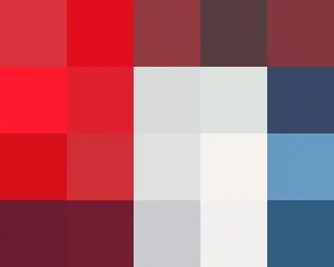 韓国外交部、「BLACKPINK」公演について「費用問題を話し合う段階ではなかった」
