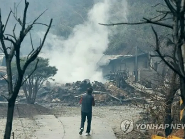 山火事により全焼した住宅＝１１日、江陵（聯合ニュース）