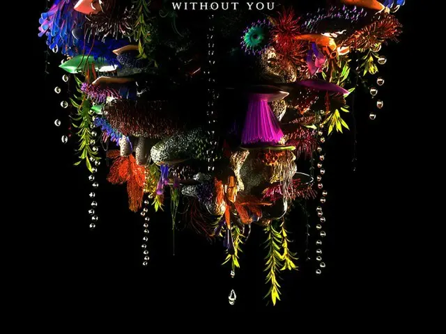 ≪今日のK-POP≫「KARD」の「Without You」　トロピカルなラテンサウンドが体を揺らす（画像提供:wowkorea）