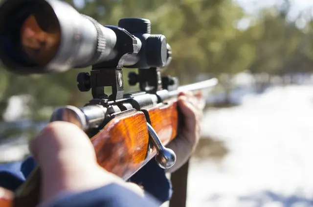 中国・江西省、うさぎと間違え発砲…男性が死亡＝中国報道（画像提供:wowkorea）