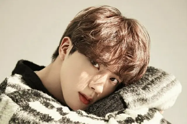 「BTS（防弾少年団）」JIN、「Tonight」シンガポール1位…チャート大記録更新中「冷めない人気」（画像提供:wowkorea）