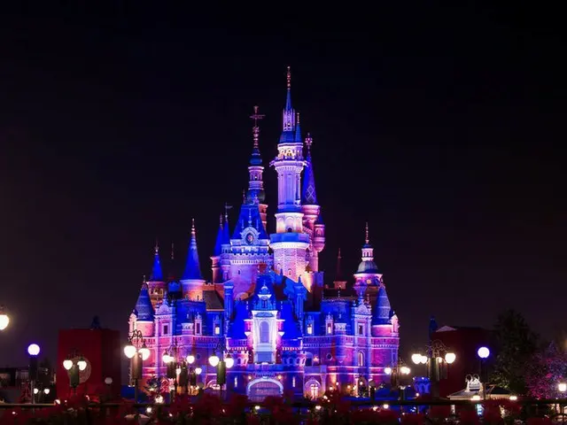 中国・上海ディズニーランドで「ダフ屋」に突き飛ばされる？…女児が顔じゅう擦り傷だらけに＝中国報道（画像提供:wowkorea）