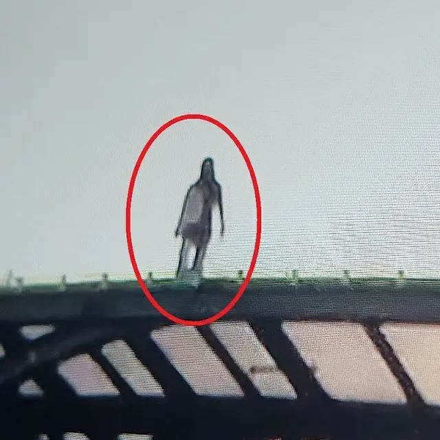 高速道路防音トンネルの上に立つ女性…その正体は？（画像提供:wowkorea）