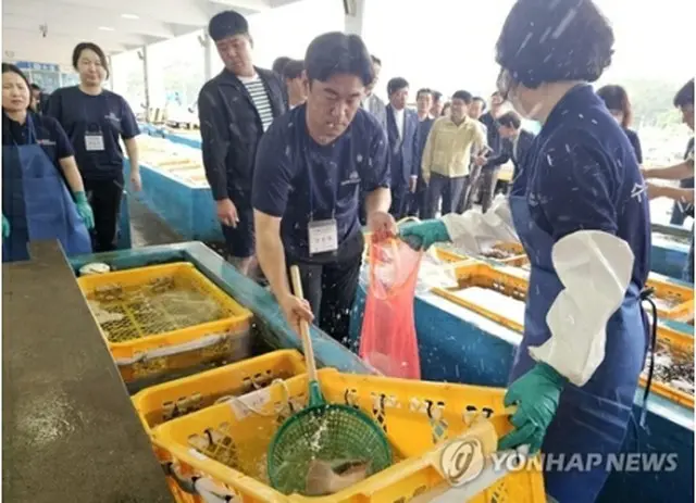 韓国南部の慶尚南道統営市で行われた水産物の放射性物質検査（資料写真）＝（聯合ニュース）