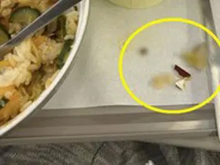 アシアナ航空機内食で歯が割れた「異物発生事故」3か月で3件＝韓国