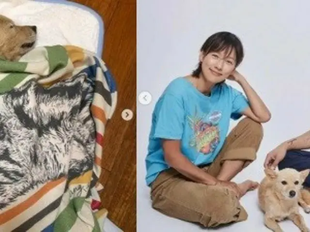 歌手イ・ヒョリ（Fin.K.L.）、愛犬モカが虹の橋を渡る…11年一緒に過ごす（画像提供:wowkorea）