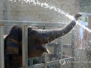 韓国　きょうのニュース（８月３日）