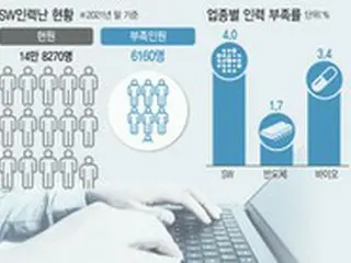 半導体よりも深刻なソフトウェアの人材不足、海外への発注に脚光＝韓国