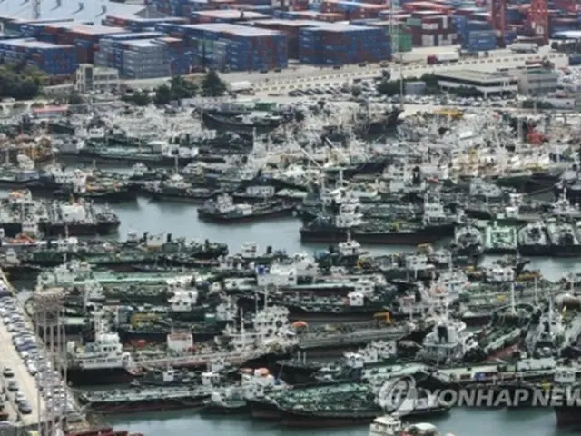 台風６号の北上に備え、釜山港に避難した船舶＝８日、釜山（聯合ニュース）