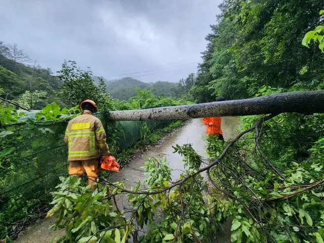 台風「カヌン」韓国縦断で被害、死亡1人・行方不明1人…道路や住宅浸水も続出＝韓国報道（画像提供:wowkorea）