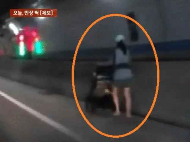 トンネル内でベビーカーを押す女性、なぜ？…「本物の幽霊かと」＝韓国