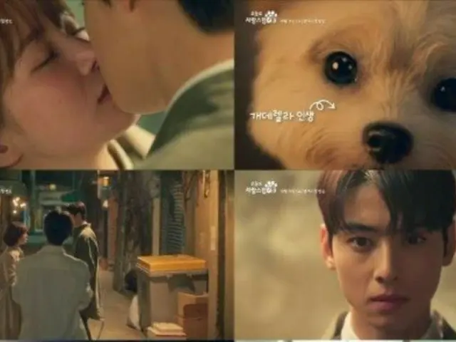パク・ギュヨン、チャウヌ（ASTRO）とのキスで呪いにかかる…3次ティーザー映像 「ワンダフルデイズ」