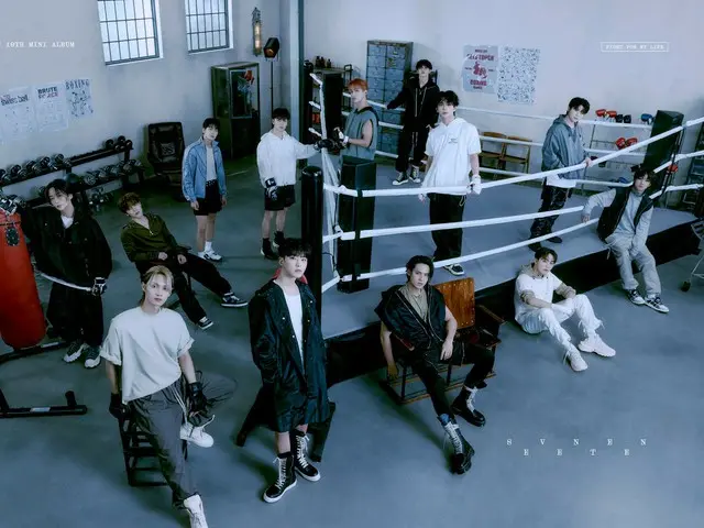 「SEVENTEEN」、ナPDとの番組名は「ナナツアー」？