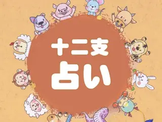 韓国十二支占い～2023年11月3週目