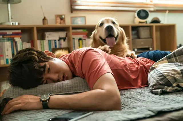 韓国大ヒット映画『マイ・ハート・パピー』主演のユ・ヨンソク、来日記念舞台あいさつ開催決定…予告映像&場面写真も解禁!2