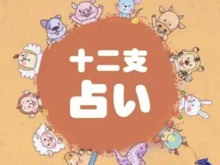 韓国十二支占い～2023年11月最終週