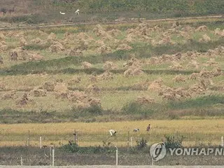 北朝鮮　昨年の稲作面積１．１％減＝韓国の７５％