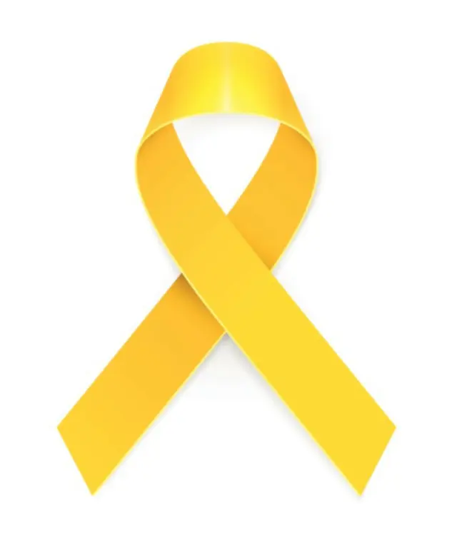<W解説>韓国・セウォル号沈没事故から10年、「黄色いリボン」に込められた思い