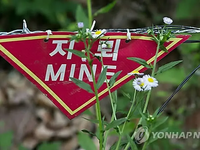 北朝鮮軍が非武装地帯で活発に作業　地雷埋設や鉄条網補強