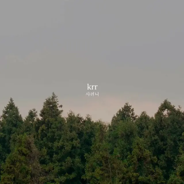 ≪今日のK-POP≫　「krr」の「Saryeoni」　心が穏やかになる癒しソング