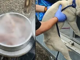 釜に入れられ茹でられている仲間を見るしかなかった「犬」＝韓国