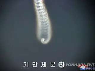 北朝鮮　多弾頭ミサイル実験に「成功」