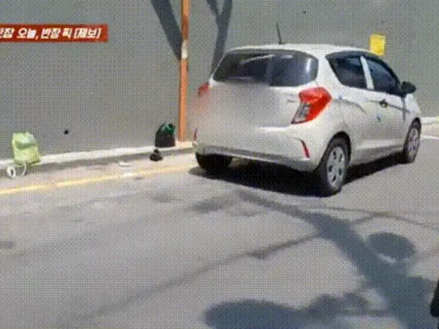 「わざわざ車で来て」…生ごみを道路に無断投棄した女性＝韓国