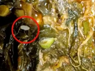 ヘジャングクからなぜご飯粒が出てくるのか？…出前料理の再使用疑惑に注文者は「悔しい」＝韓国