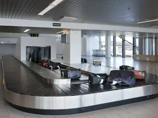 「ネズミ１匹？」ドイツの空港を一晩停電したとんでもない原因