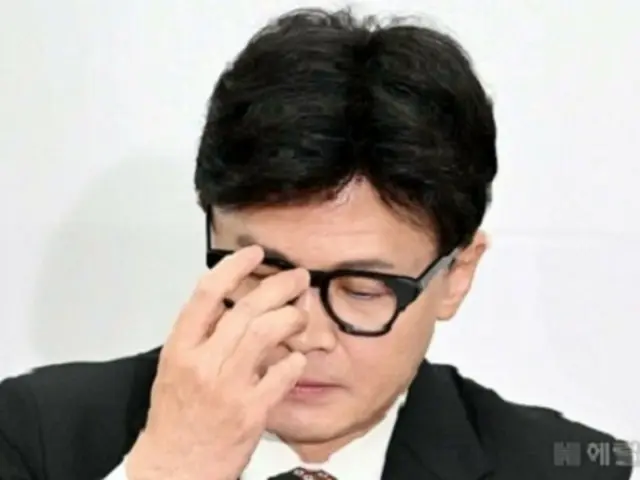 韓東勲、国民の力代表