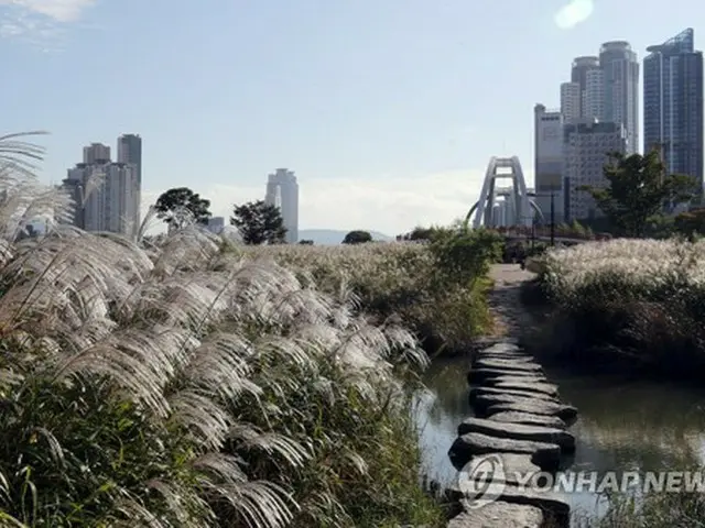 都市近隣公園の太和江国家庭園＝（聯合ニュース）