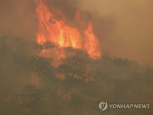 韓国南東部、慶尚北道義城郡の山火事は２４日も強風で消火活動が難航している。火柱が上がる火災現場＝（聯合ニュース）