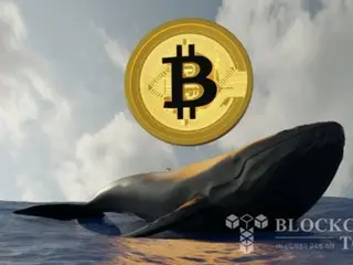 ビットコインクジラ、数カ月間1万1400BTCを売却…再び買い戻し開始「2400BTCを購入」