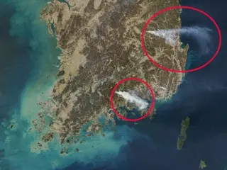 NASA衛星が捉えた韓国の山火事...海岸まで立ち込める霧の壁