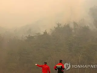 韓国南東部の大規模山火事　小雨予報の中で消火活動再開
