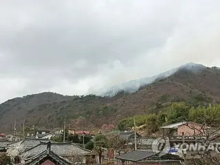 韓国・蔚山の山火事が鎮火　避難命令も解除