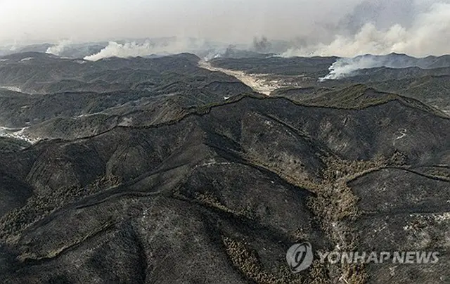 煙を上げる山林＝（聯合ニュース）