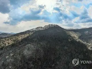 韓国の大規模山火事が鎮火　発生から７日