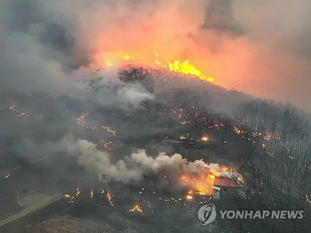 義城郡の山火事発生から３日目の２４日、炎に包まれる民家＝（聯合ニュース）