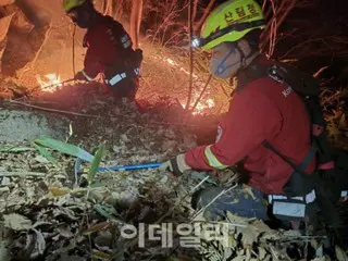 慶尚南道の山火事、発生213時間で大きな炎を鎮火