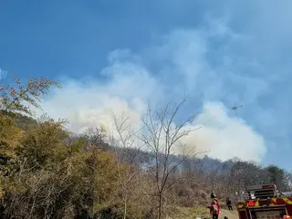 韓国・忠北の山火事、80代が容疑認める…「手が冷たくなって雑草に火を付けた」