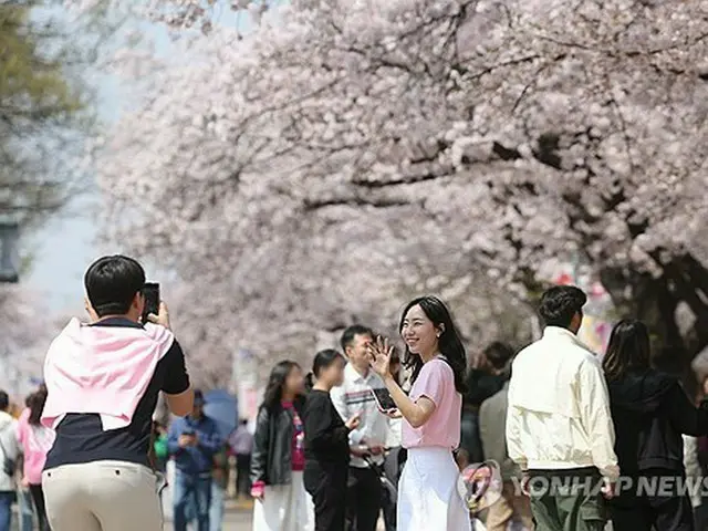 昨年の「春の花祭り」の様子＝（聯合ニュース）